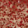 Clear/Red Glitter