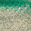Silver Glitter/Green Back