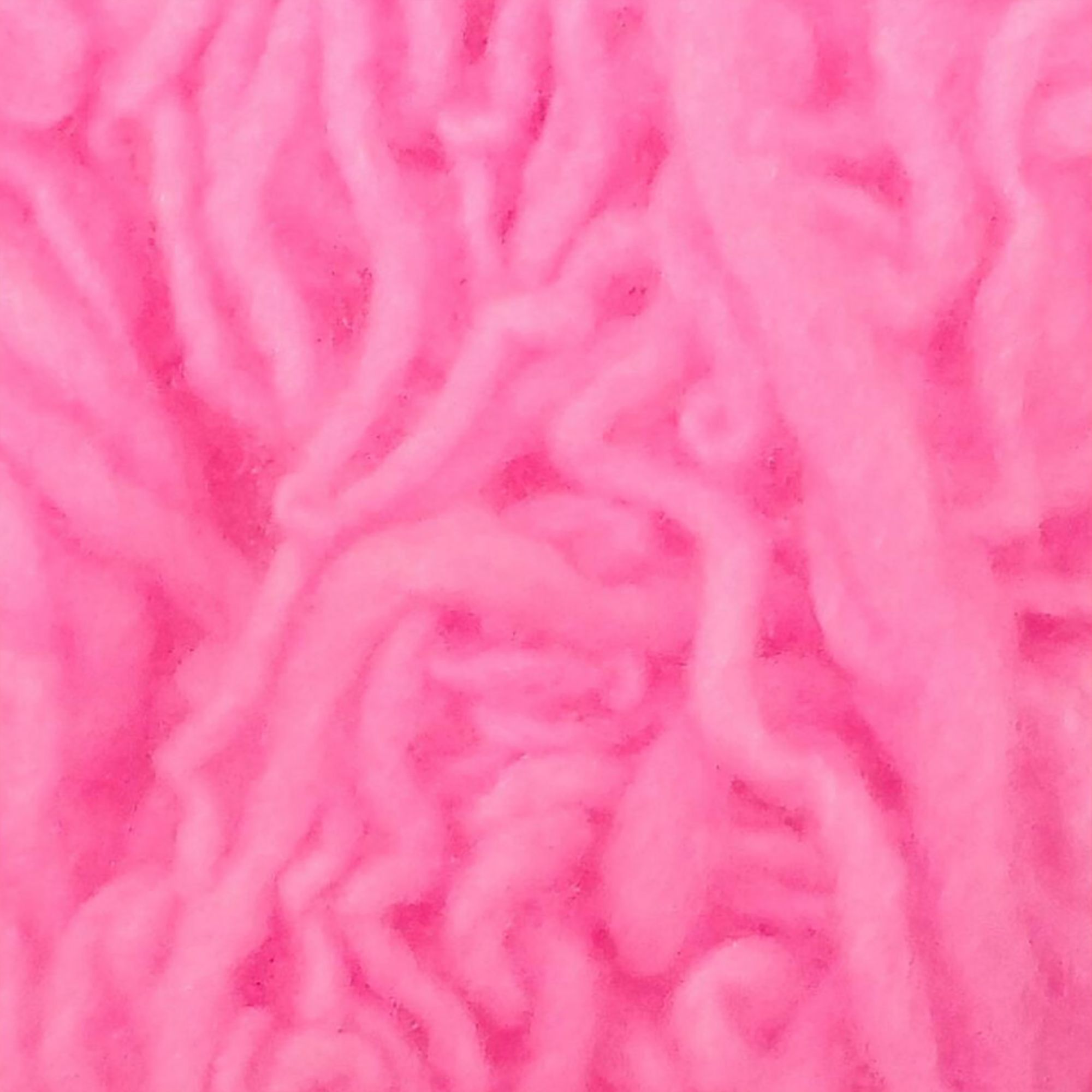 Shrimp Pink