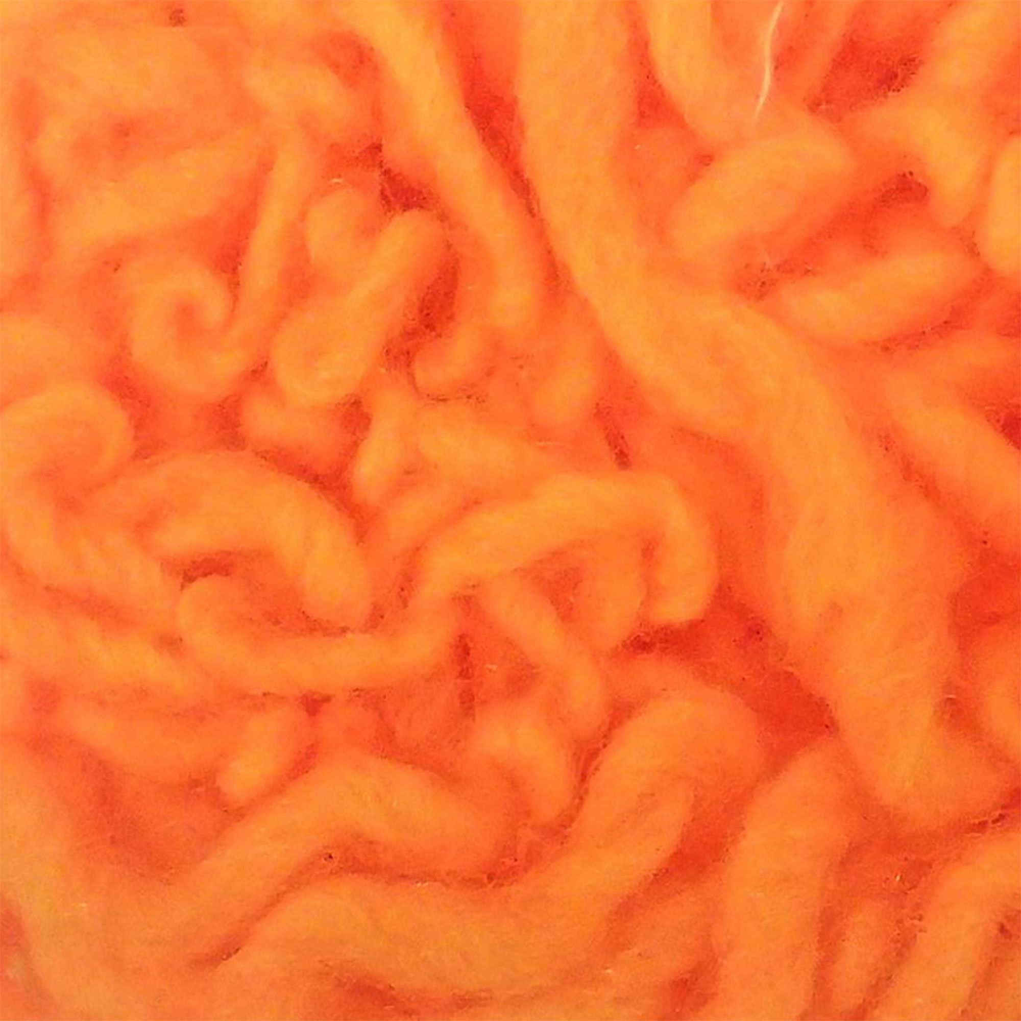 Steelhead Orange