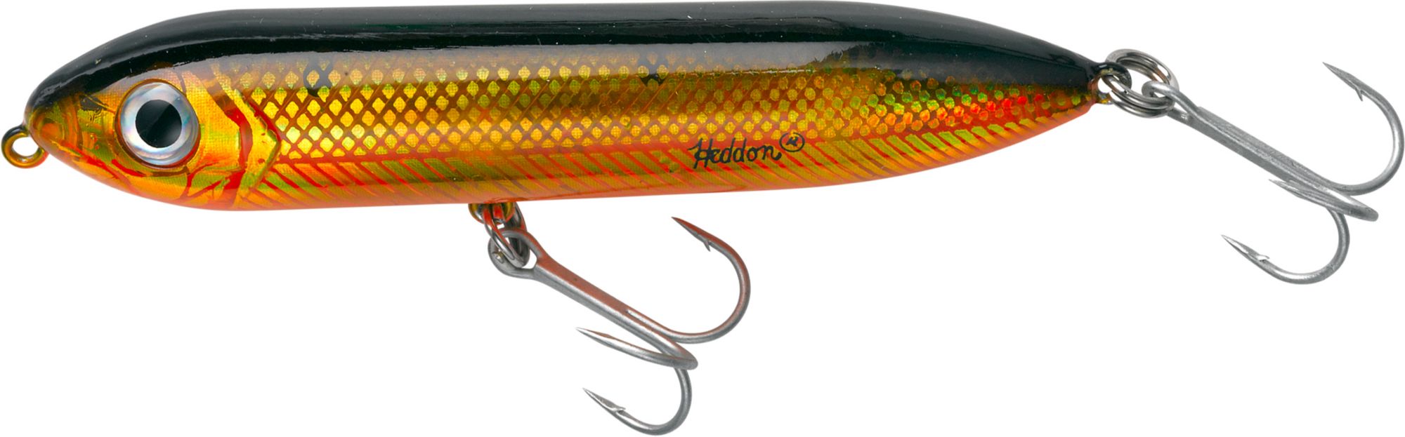 Golden Shiner