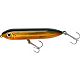 Golden Shiner