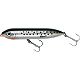 Speckled Trout
