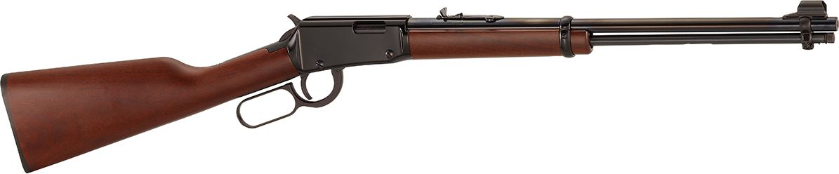 Rifle 22 remington 16 tiros precio