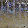 Electric Shad