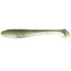 Tennessee Shad