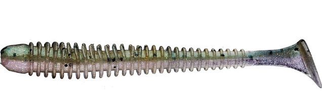 Alewife