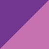 Purple/Iris Orchid