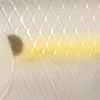 Chartreuse Shad