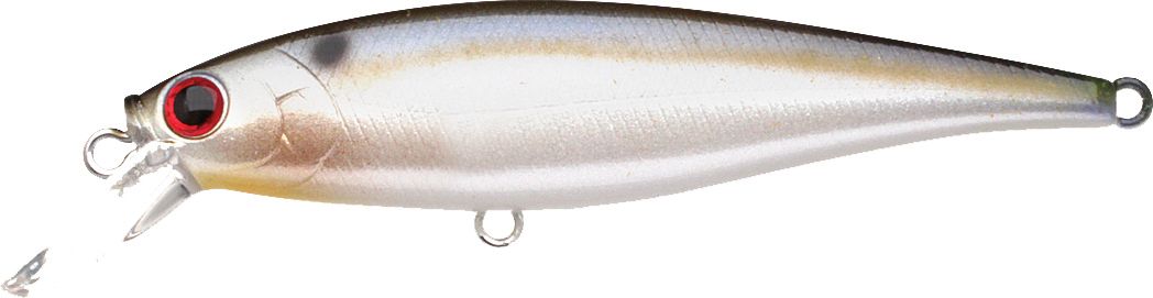Pearl Threadfin Shad