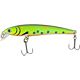 Brook Trout