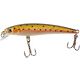 Rainbow Trout