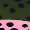 Rainbow Trout