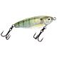 Pinfish