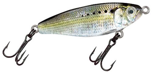 Shad
