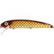 Carp