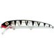 White Perch