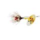Rainbow Trout