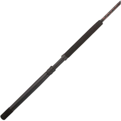 PENN Fishing Rampage Jigging Spinning Rod | Dick's Sporting