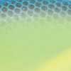 Chartreuse/Blue