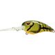 Green Craw