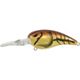 Molting Craw