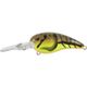 Spring Craw