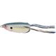 Nasty Shad