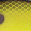 Chartreuse/Black