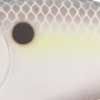 Nasty Shad