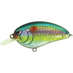 SPRO Fishing Lures  DICK's Sporting Goods
