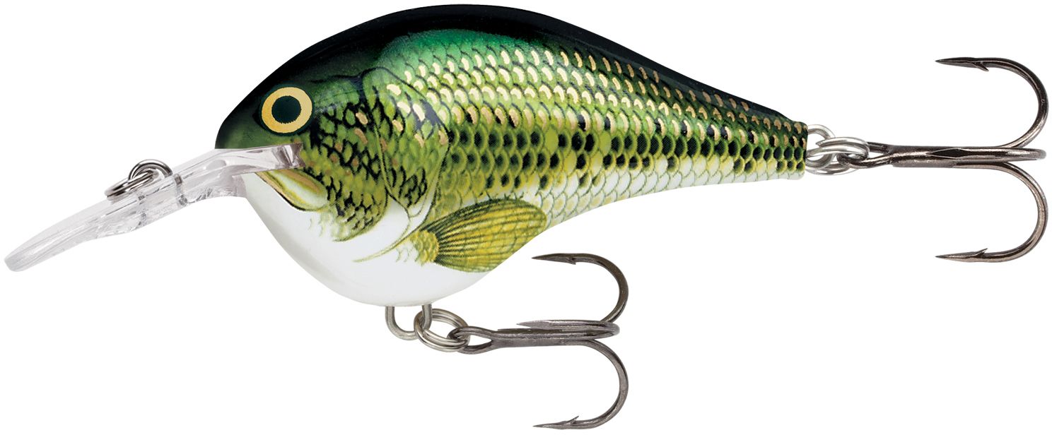 Baby Bass