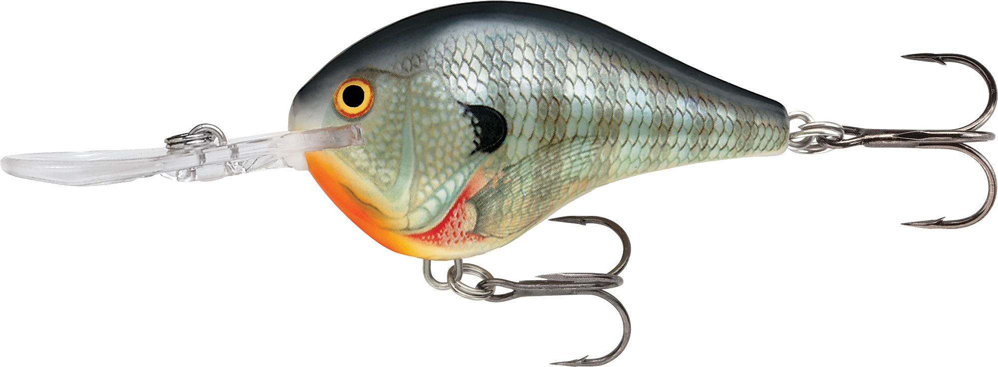 Bluegill