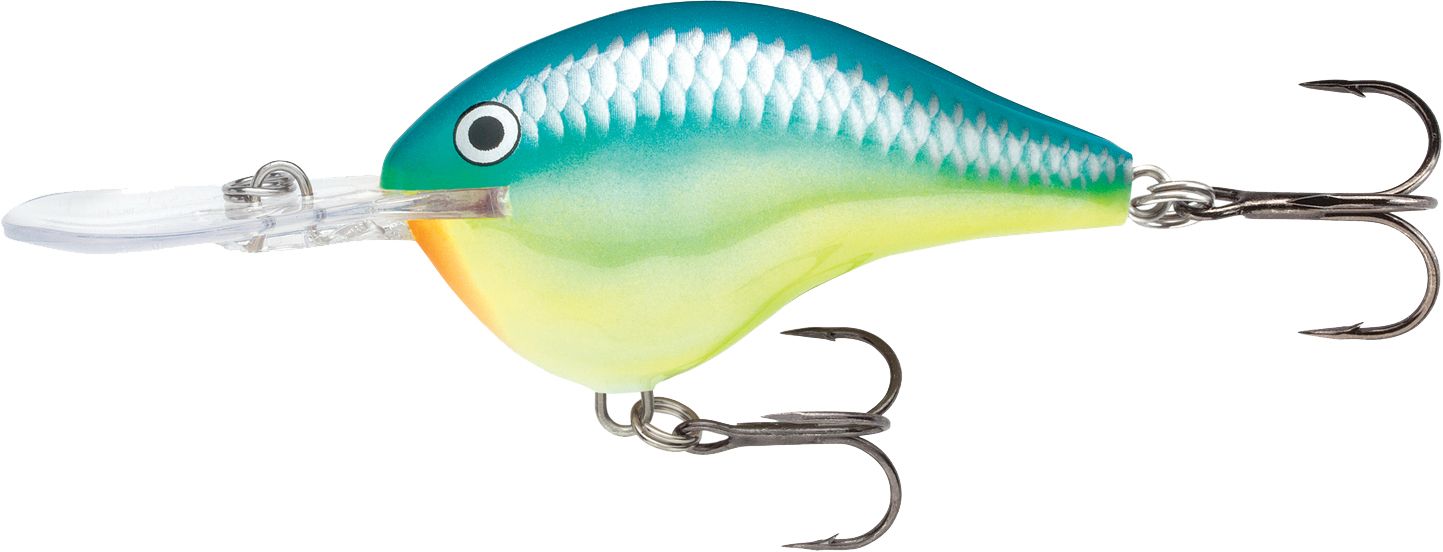 Caribbean Shad
