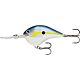 Helsinki Shad