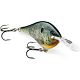 Live Bluegill