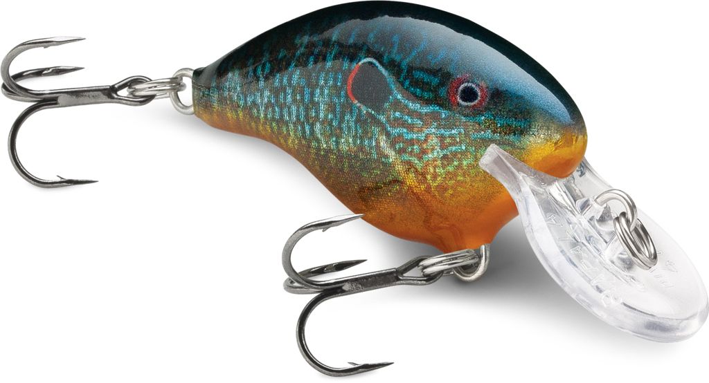 Live Pumpkinseed