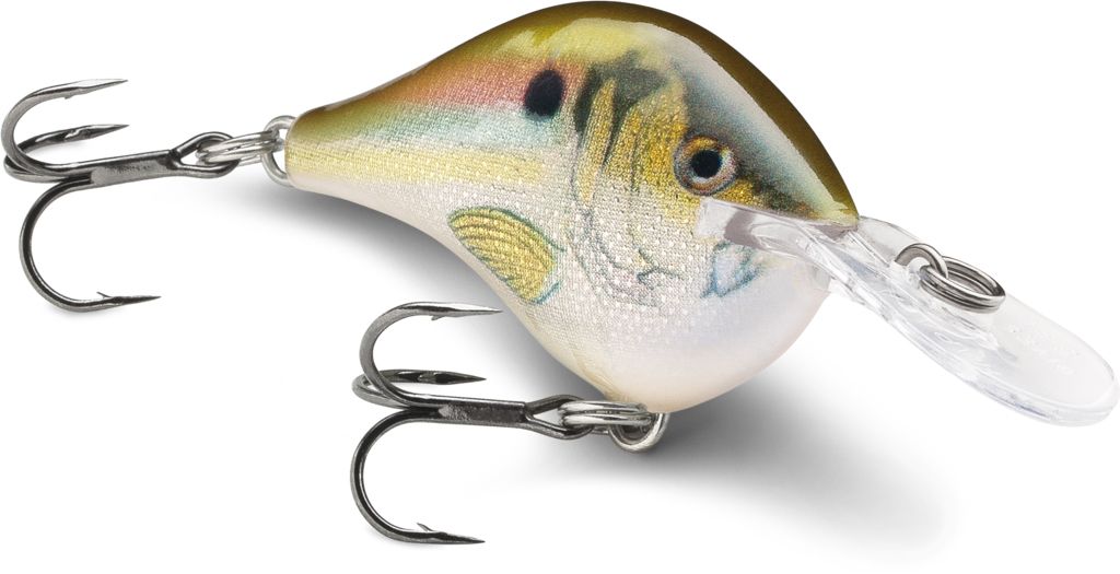 Live River Shad