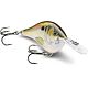 Live River Shad