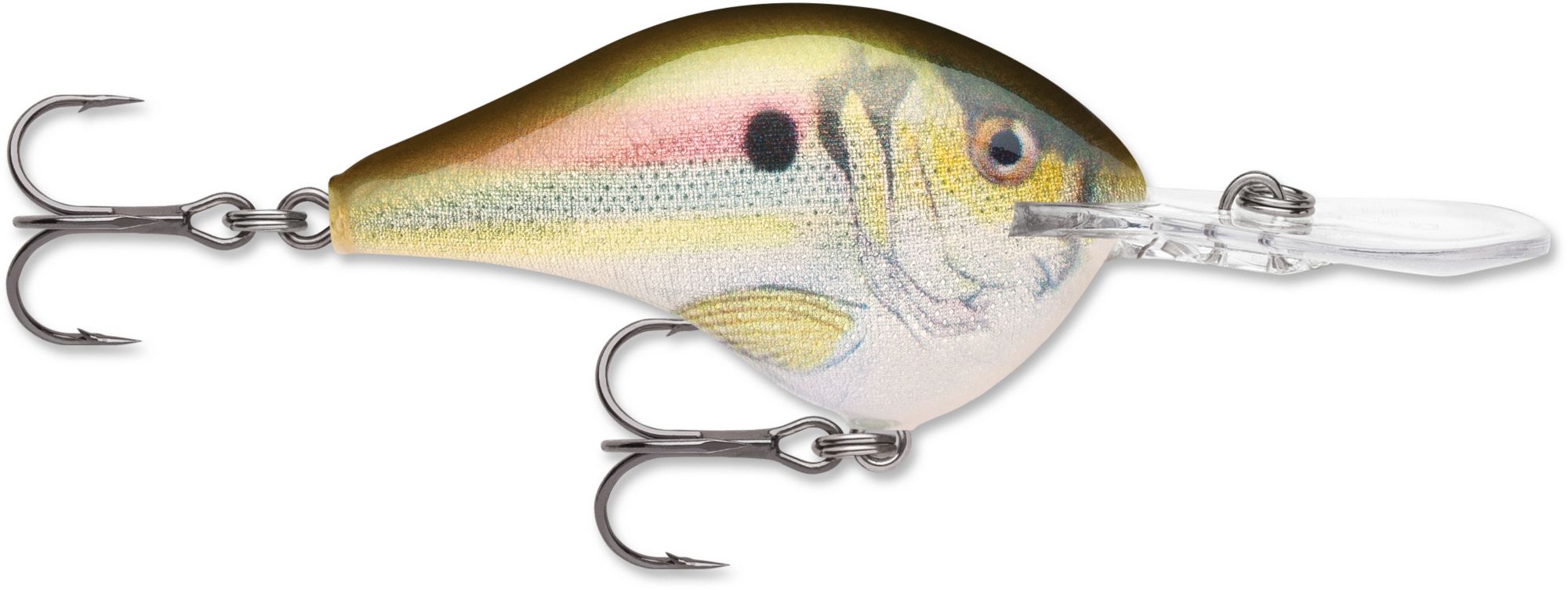 Rapala DT (Dives-To) Series Crankbait