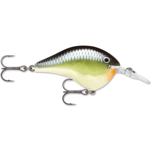 browning maxus fishing reel ma 10h A Closer Look at the Browning Maxus II