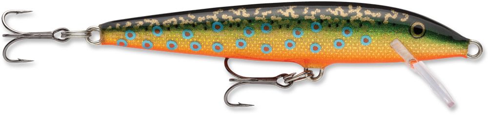 Brook Trout