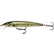 Baby Bass