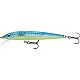 Glass Blue Minnow