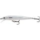 Glass Minnow