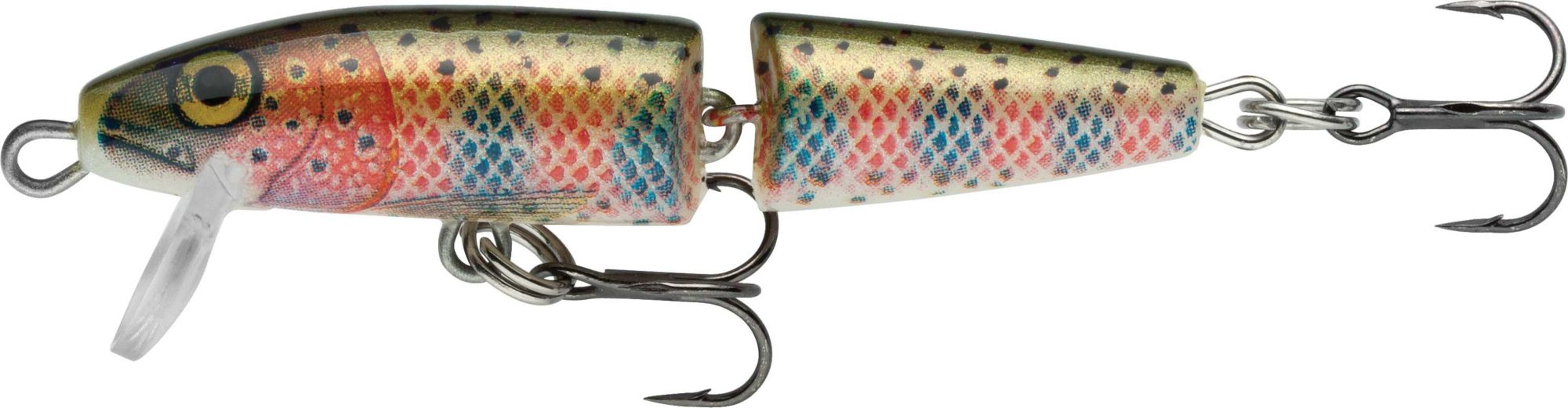 Rainbow Trout