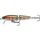 Rainbow Trout