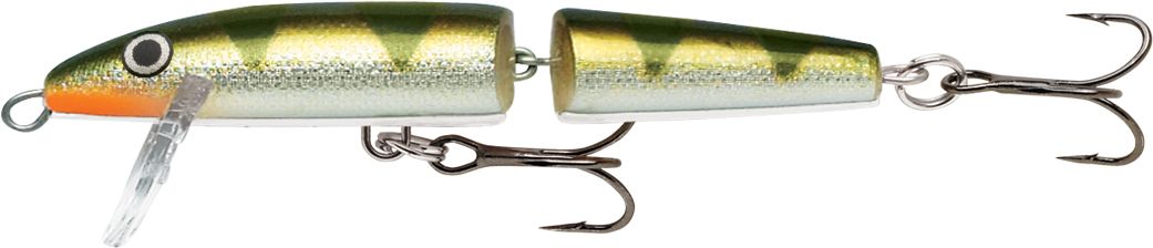 Yellow Perch