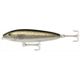 Speckled Trout