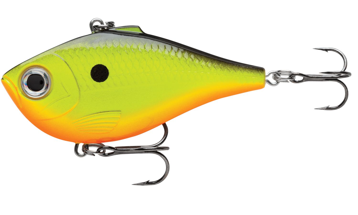 Chartreuse Shad